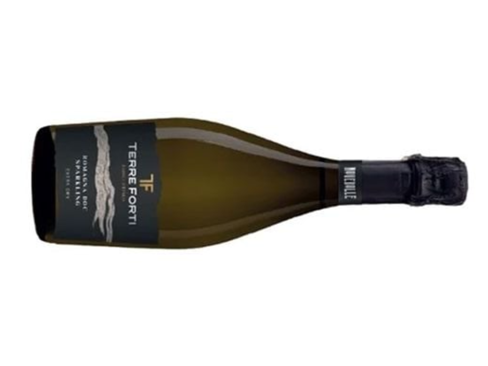 Terre Forti | Romagna DOC | Italy | 11.5% vol