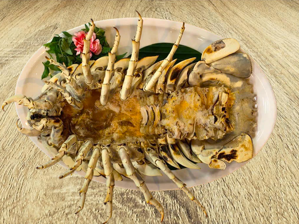 Bọ biển nướng mọi