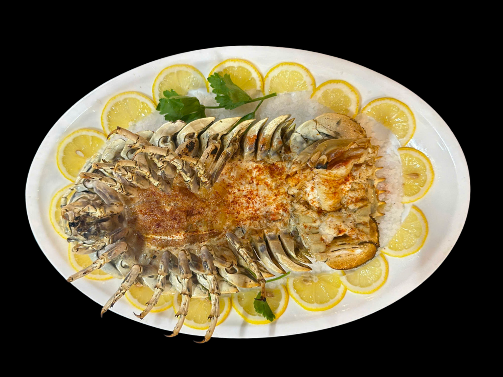 Bọ biển nướng dầu ô liu