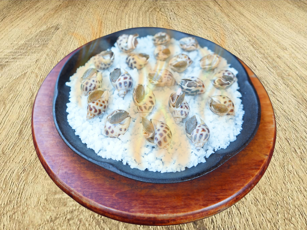 Ốc hương nướng lửa hồng/ sốt xì dầu